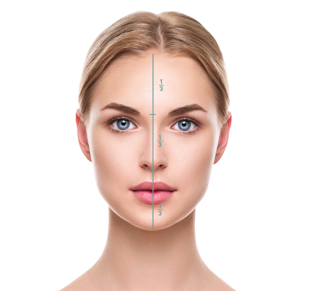 臉部比例.png 玻尿酸下巴修飾臉型!你不可不知的ptt網友下巴變美日記